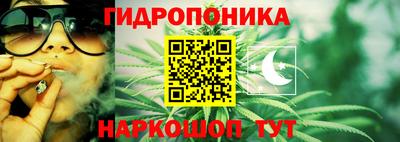 ECSTASY Ливны