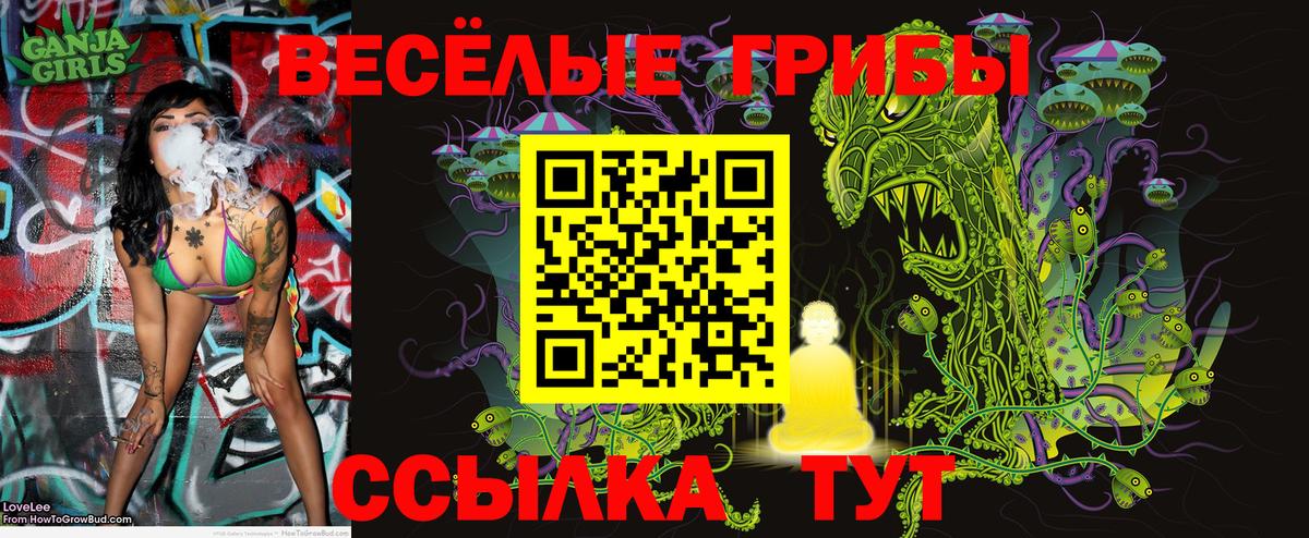 Кольчугино  Галлюциногенные грибы ЛСД  Вход с VPN 