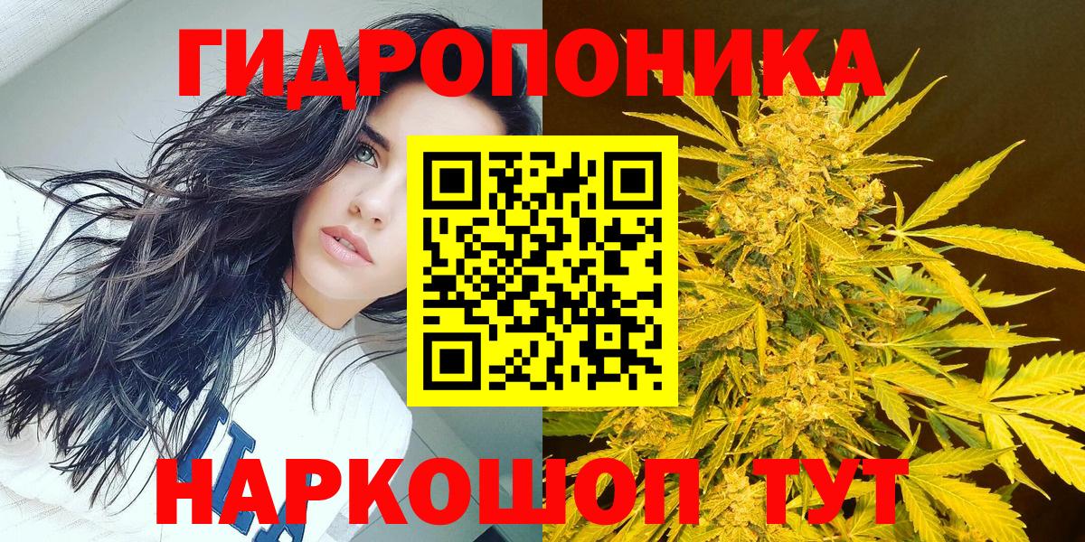 Каннабис SATIVA & INDICA Кольчугино